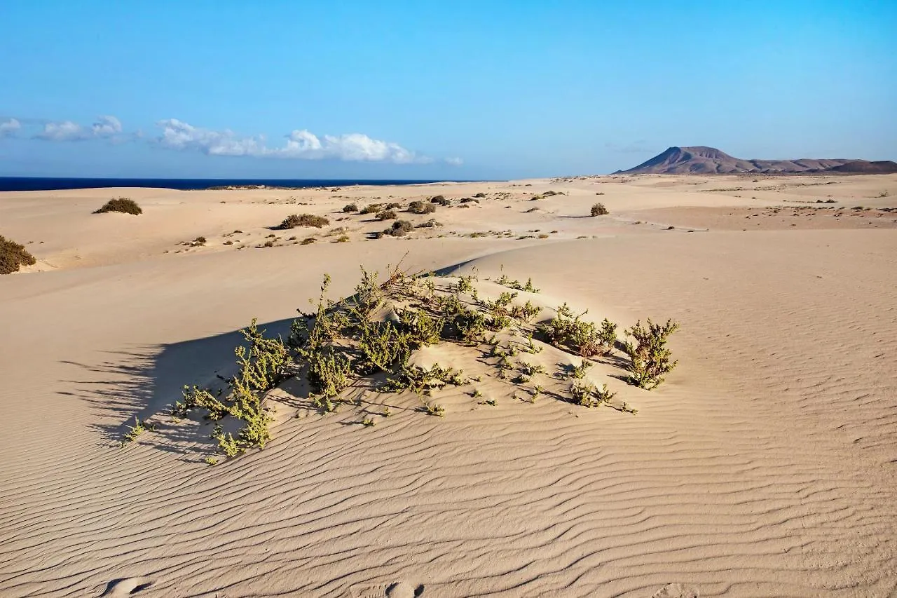Villa Del Relax Corralejo Spain